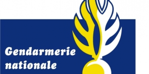 Logo gendarmerie nationale