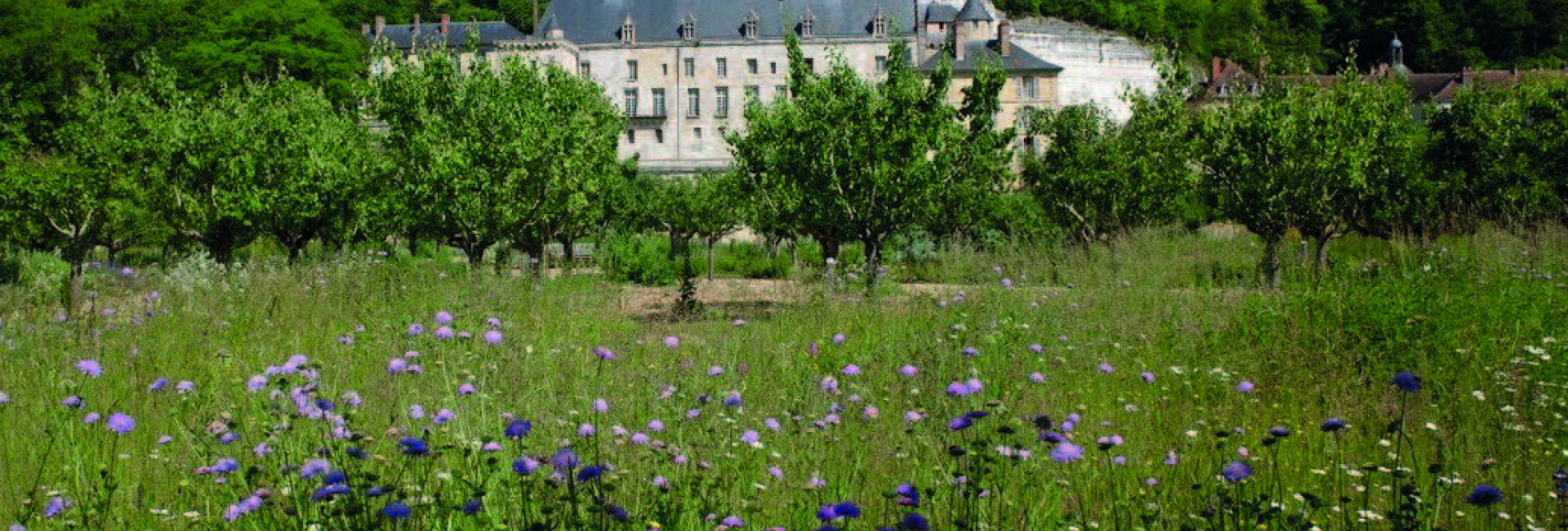 Programme de la journée étude jardin de la Roche Guyon