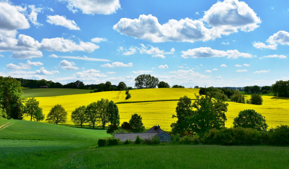 Parc naturel régional du Vexin français