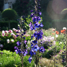 Samedi 21 septembre : journée du patrmoine dans le jardin de campagne à Grisy-les-Plâtres